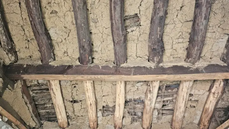 Grinding Seventy Years Off the Rafters — and Ordering Blueprints for ₩70,000 — photo 2