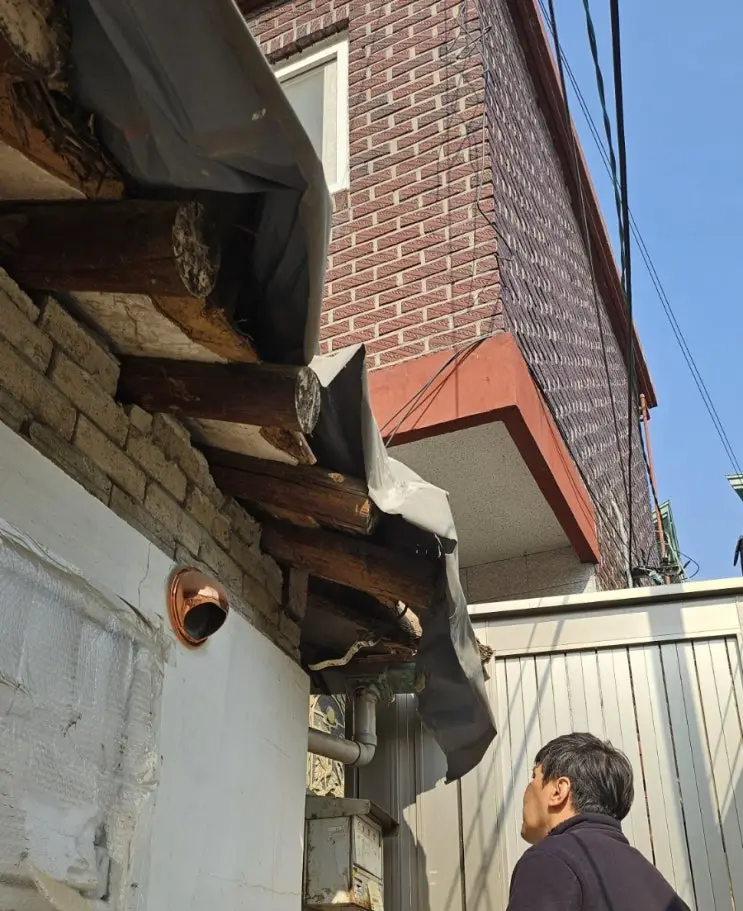 A Quarter of the Roof, Off in Two Hours — photo 4