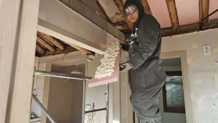 The Invisible Work: Sealing Gaps, Sanding Eaves, Reading Regulations — photo 2