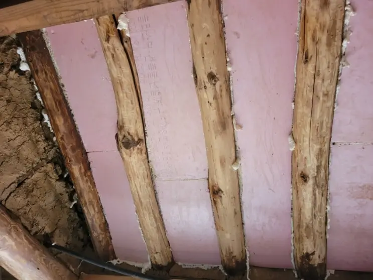 The Invisible Work: Sealing Gaps, Sanding Eaves, Reading Regulations — photo 3