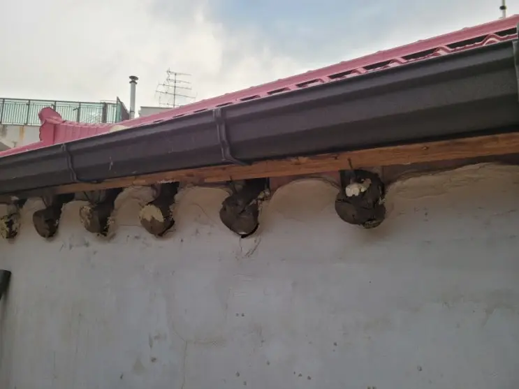 Extending the Eaves: The Buyeon Go Up — photo 10