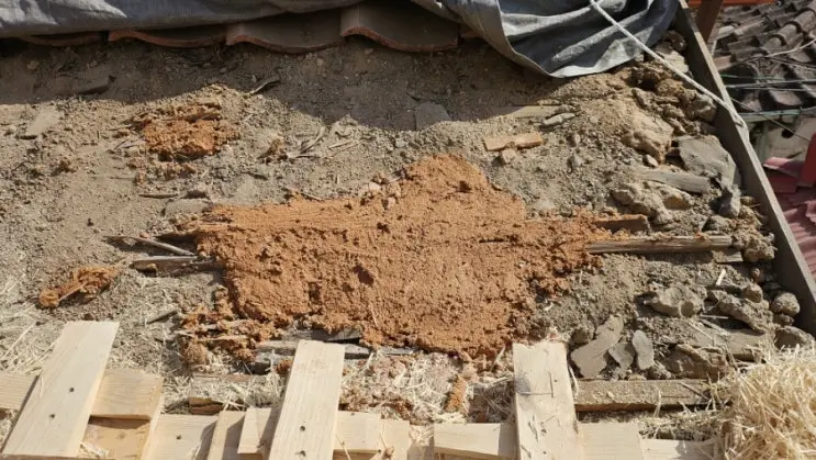 Jacking Up Sagging Rafters — and Registering the Business — photo 7