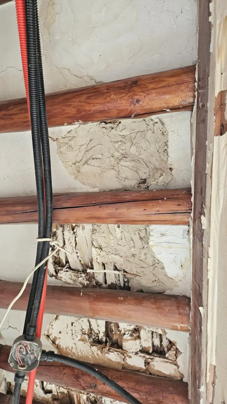 Twenty-Five Bundles of Battens: The Roof Gets Its Grid — photo 4