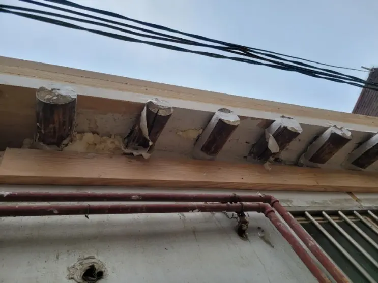 Twenty-Five Bundles of Battens: The Roof Gets Its Grid — photo 5
