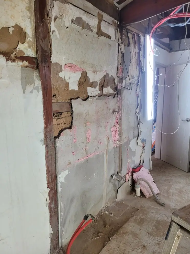 The Old Windows Come Home; the Wall Campaign Begins — photo 4
