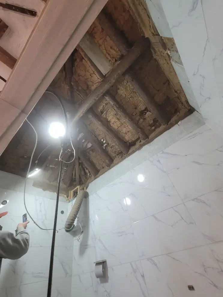 Bathroom Demolition: Two Burst Pipes and a Masterclass — photo 4