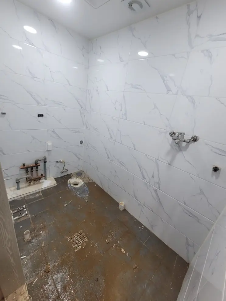 Bathroom Demolition: Two Burst Pipes and a Masterclass — photo 6