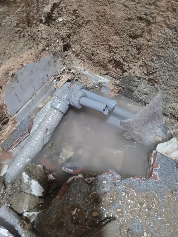 Bathroom Demolition: Two Burst Pipes and a Masterclass — photo 8