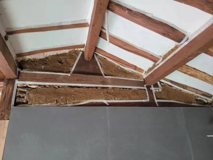 The Ceiling-Plaster Manual, Written in Trial and Error — photo 5