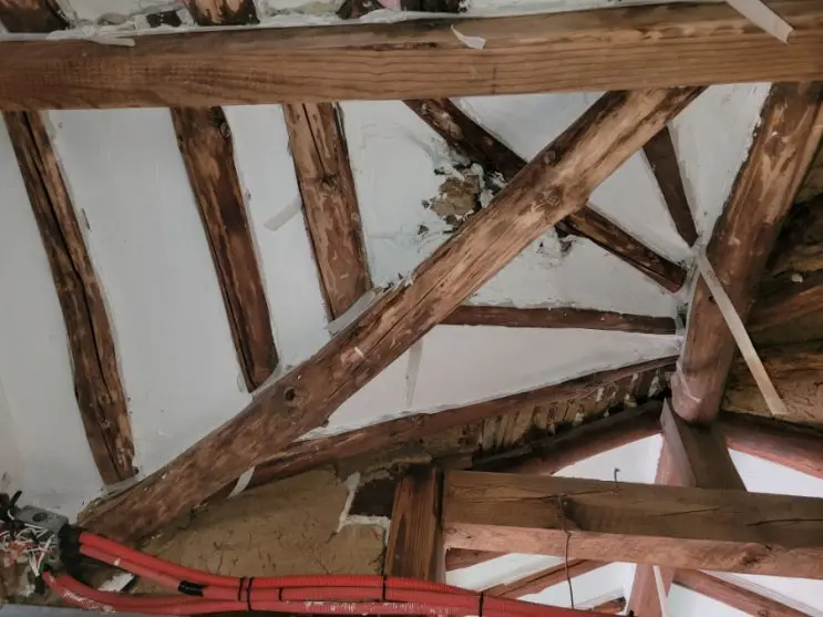 The Ceiling-Plaster Manual, Written in Trial and Error — photo 7