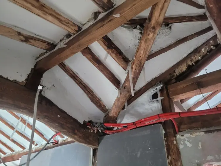 The Ceiling-Plaster Manual, Written in Trial and Error — photo 8
