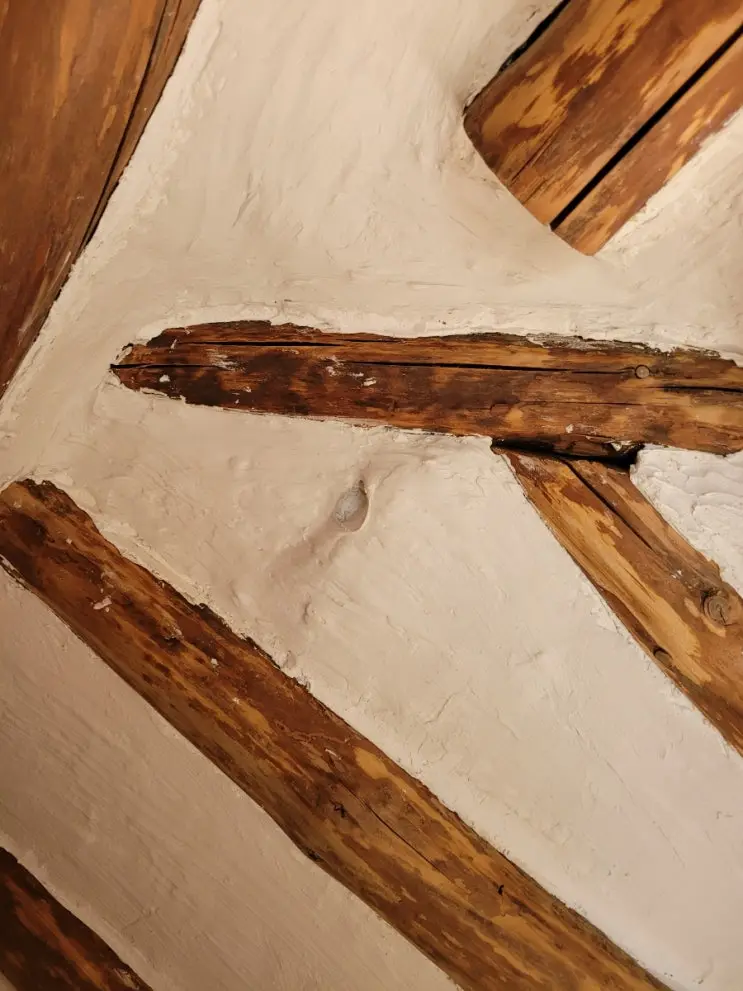Erasing the Seams: Putty, Mesh Tape, and a Self-Built Wall — photo 6