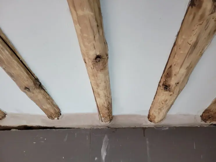 Erasing the Seams: Putty, Mesh Tape, and a Self-Built Wall — photo 7