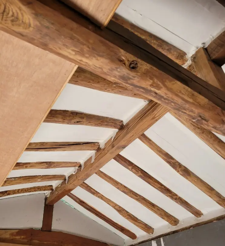 Dome Ceilings, Sample Lights, and the Rafters Drink Their Stain — photo 7