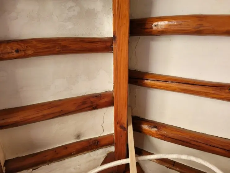 The First Brushful of White: Paint Testing Begins — photo 5
