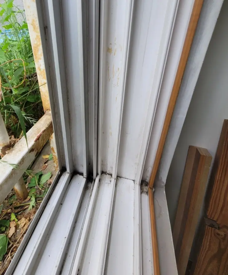 Six Cans of White, and a House Cleaned for Its First Guests — photo 2
